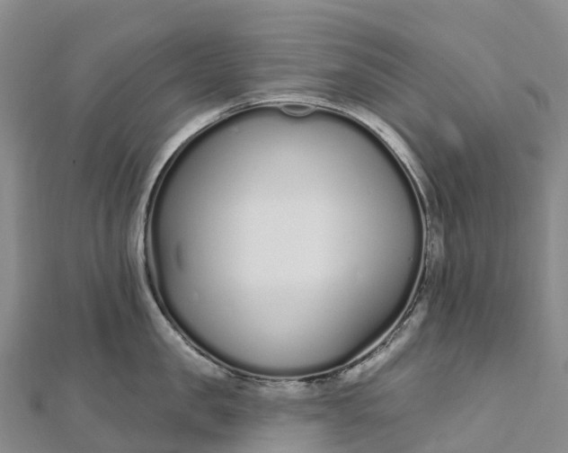 X0000112720957200909031414