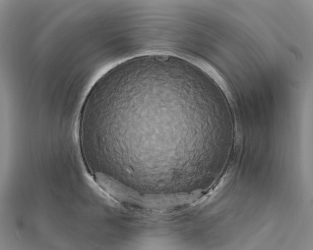 X0000112720958200909031414