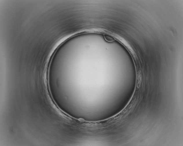 X0000112720959200909031414