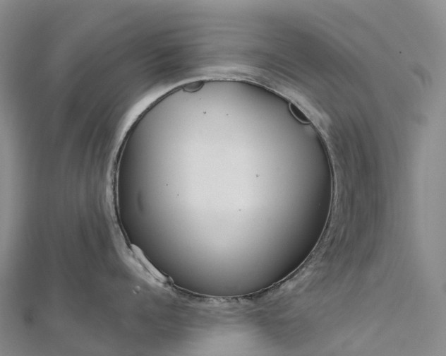 X0000112720960200909031414