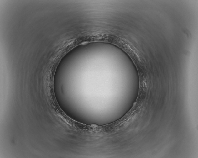 X0000112720961200909031413