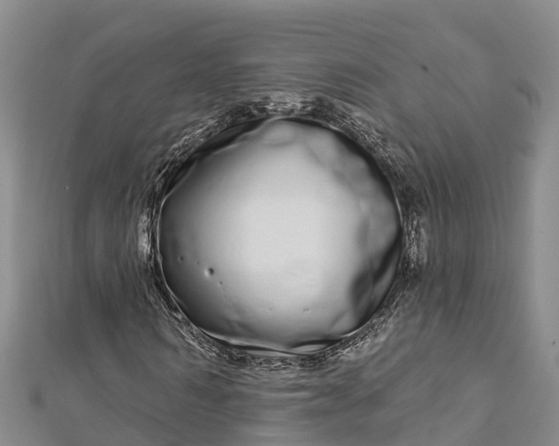 X0000112720962200909031413