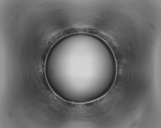 X0000112720966200909031413