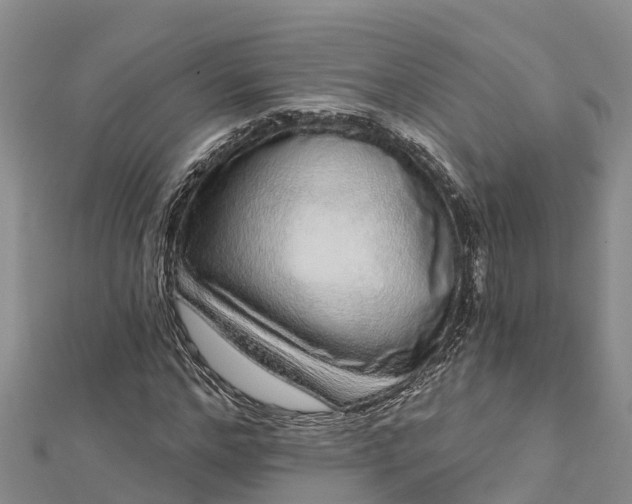 X0000112720968200909031413