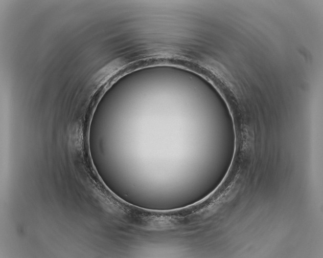 X0000112720969200909031413