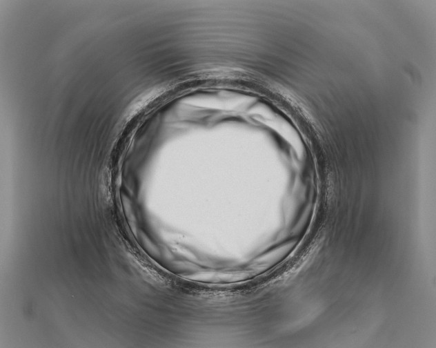 X0000112720970200909031413