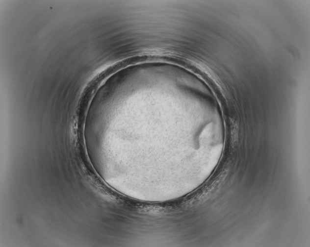 X0000112720971200909031413