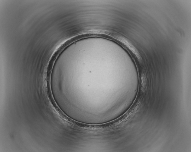 X0000112720972200909031413