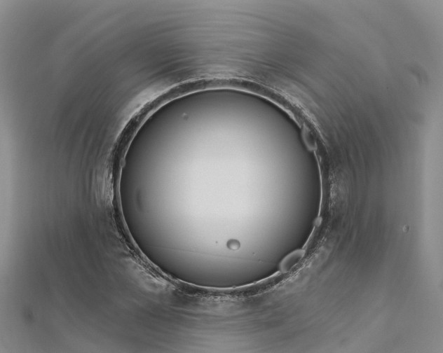 X0000112720973200909031413