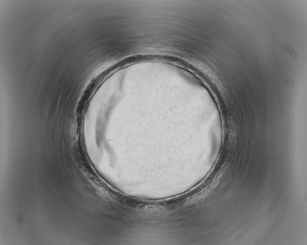 X0000112720974200909031413