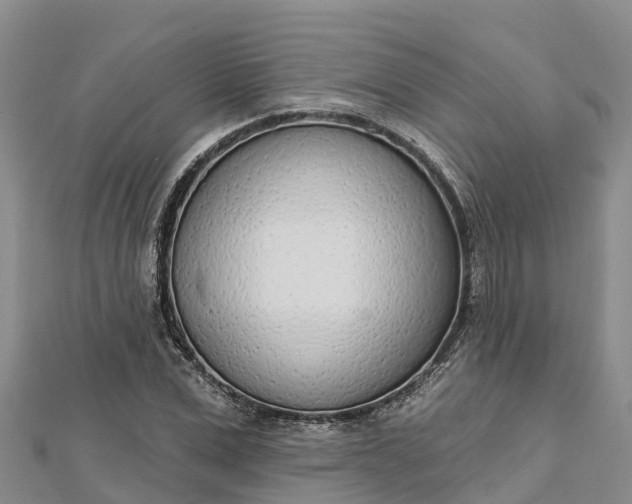 X0000112720975200909031413