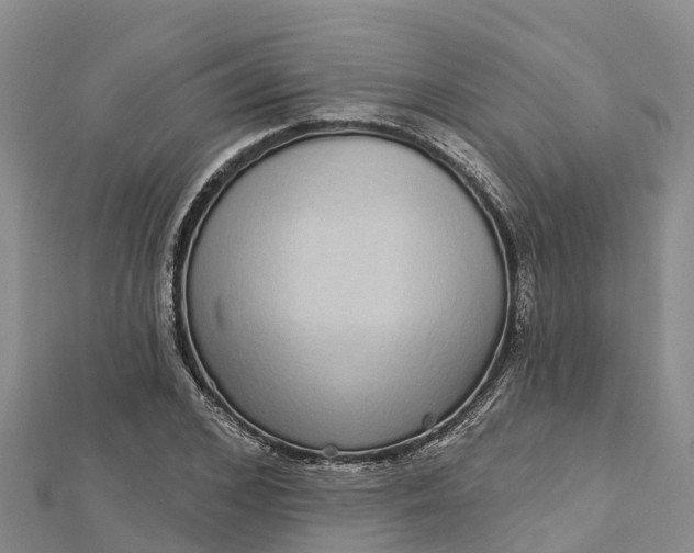 X0000112720976200909031413