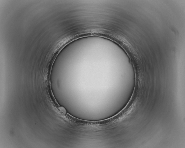 X0000112720977200909031413