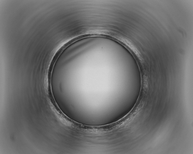 X0000112720980200909031413