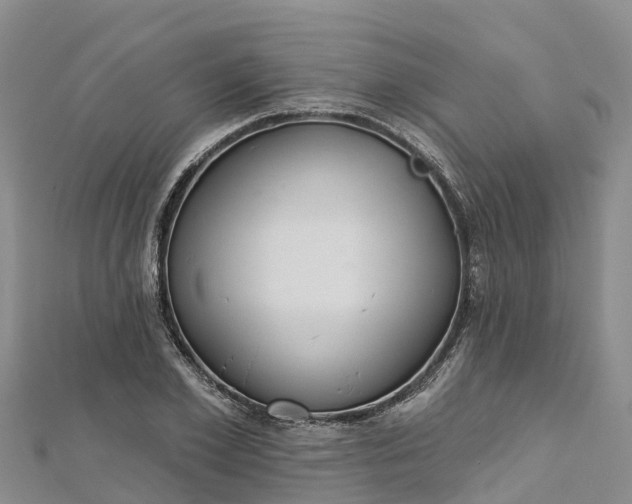 X0000112720981200909031413