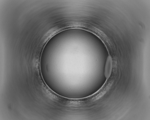 X0000112720985200909031413