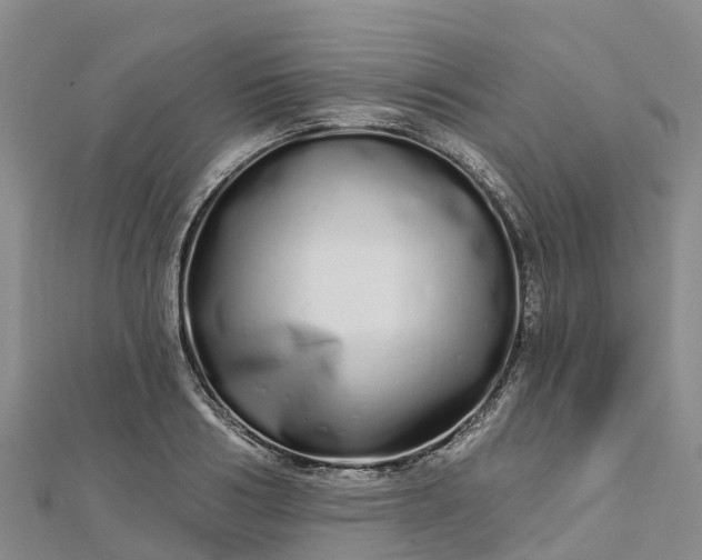 X0000112720986200909031413