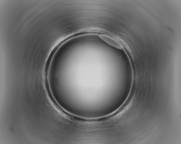 X0000112720989200909031413