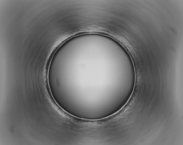 X0000112720990200909031413