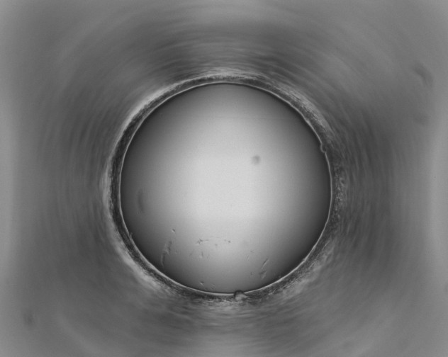 X0000112720991200909031413