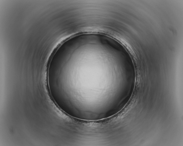 X0000112720992200909031413