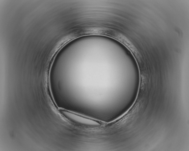 X0000112720994200909031413