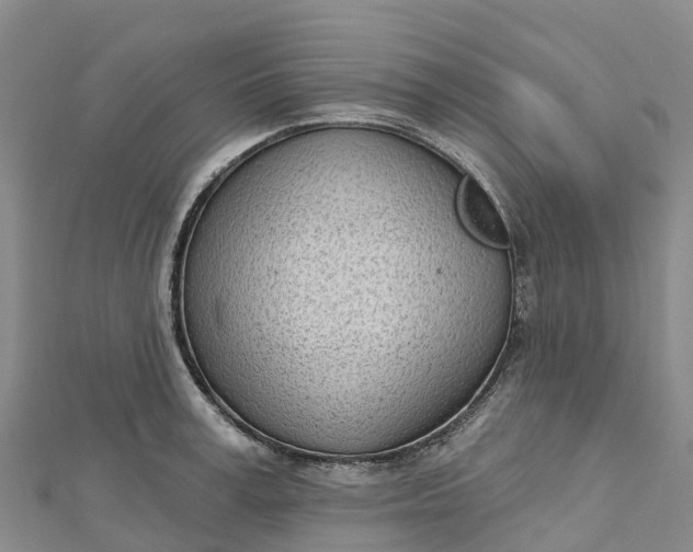 X0000112720995200909031413