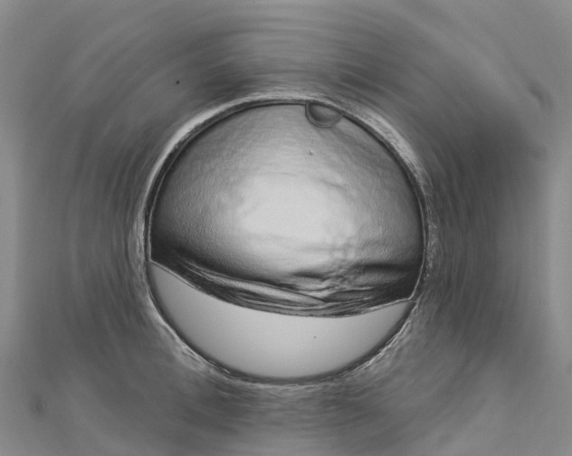 X0000112720996200909031413