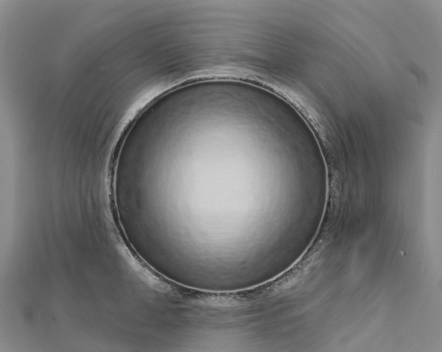 X0000112720998200909031413