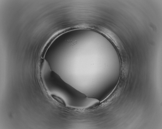 X0000112721000200909031413