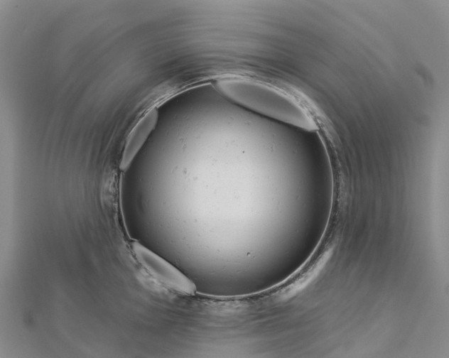 X0000112721001200909031413