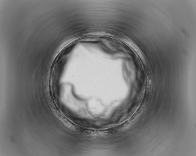 X0000112721002200909031413