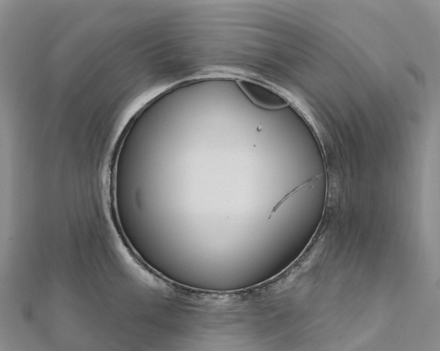 X0000112721003200909031413