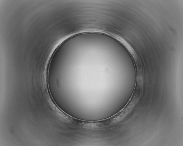 X0000112721004200909031413