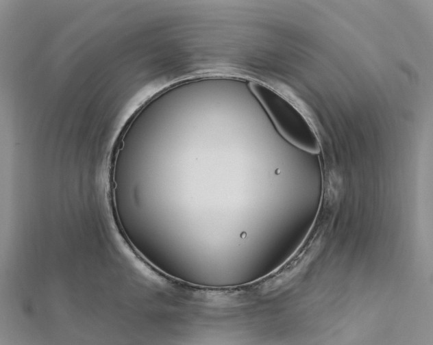 X0000112721005200909031413