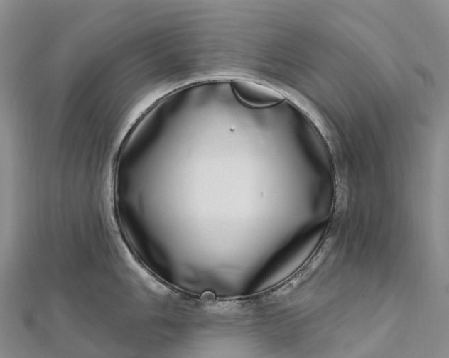 X0000112721006200909031413