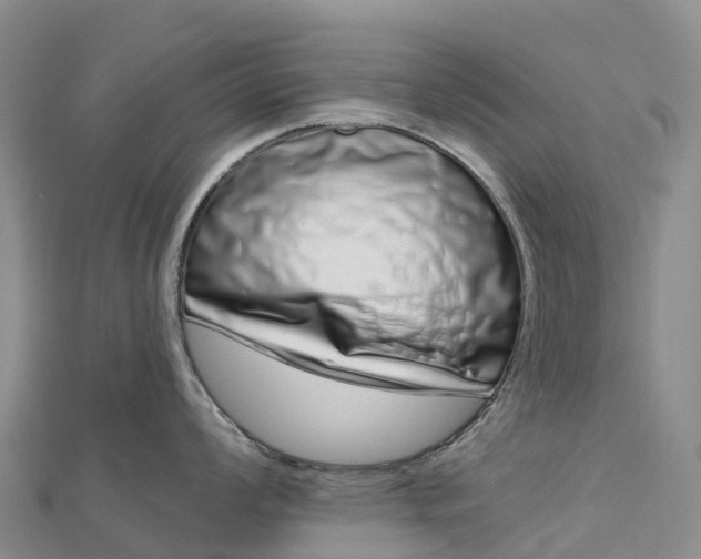 X0000112721008200909031413