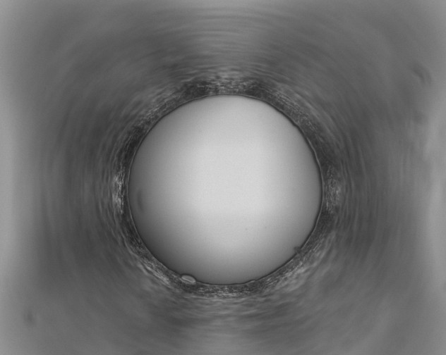 X0000112721010200909031412