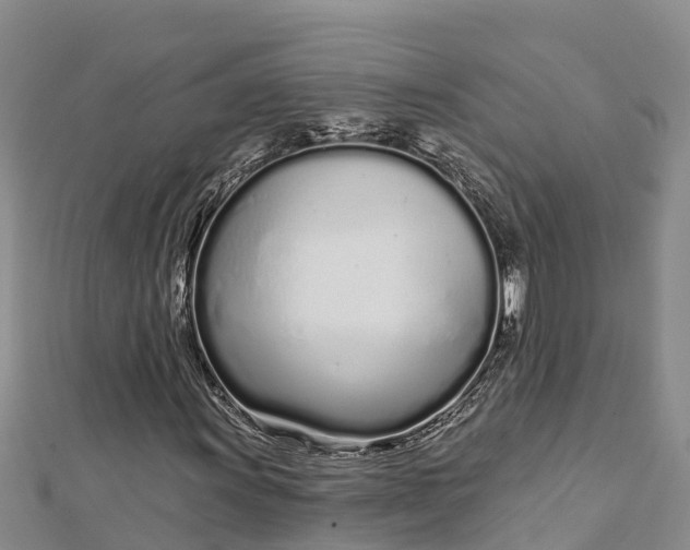 X0000112721011200909031412