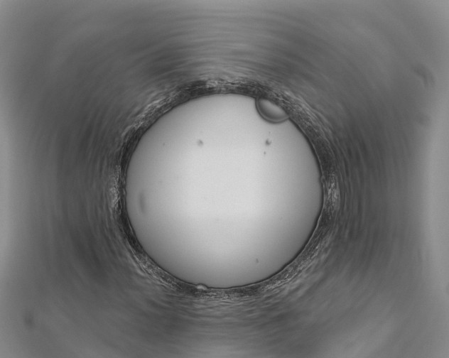 X0000112721012200909031412