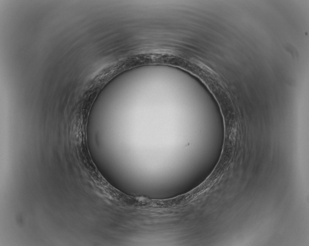 X0000112721014200909031412