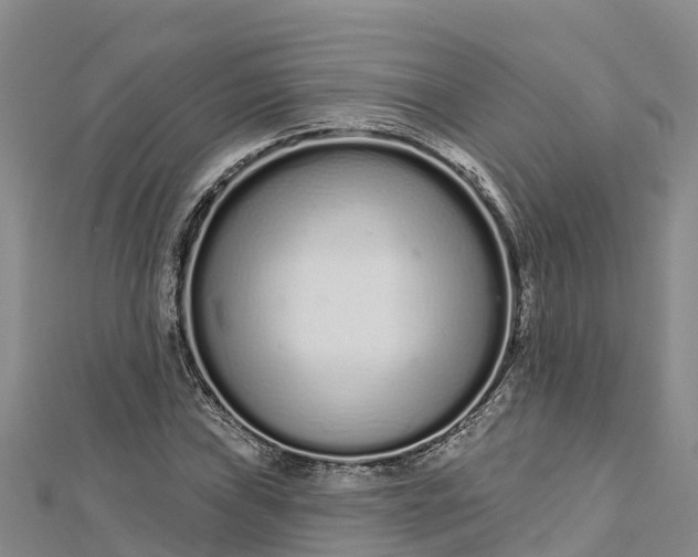 X0000112721019200909031412