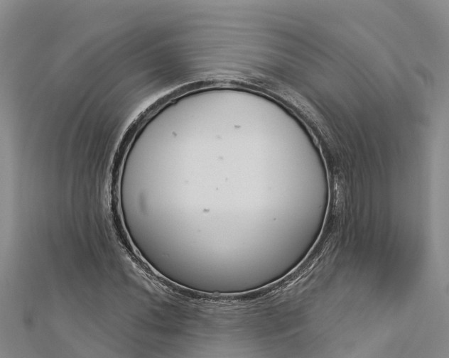 X0000112721020200909031412