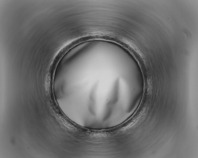 X0000112721021200909031412