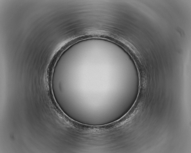 X0000112721022200909031412