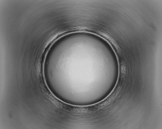 X0000112721023200909031412