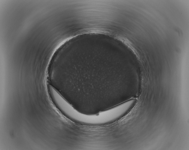 X0000112721024200909031412