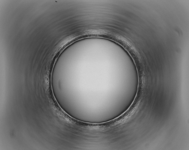 X0000112721025200909031412