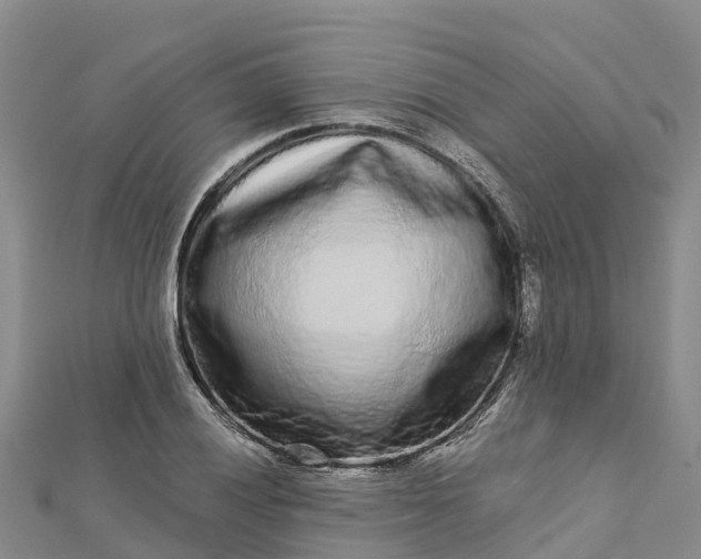 X0000112721028200909031412