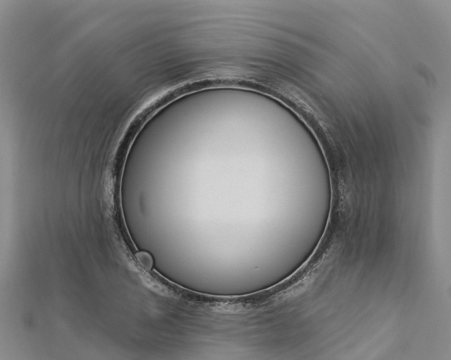 X0000112721029200909031412